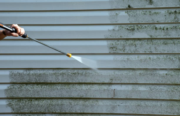 Best Roof Pressure Washing  in Harrisonburg, VA