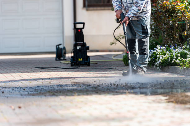 Best Roof Pressure Washing  in Harrisonburg, VA