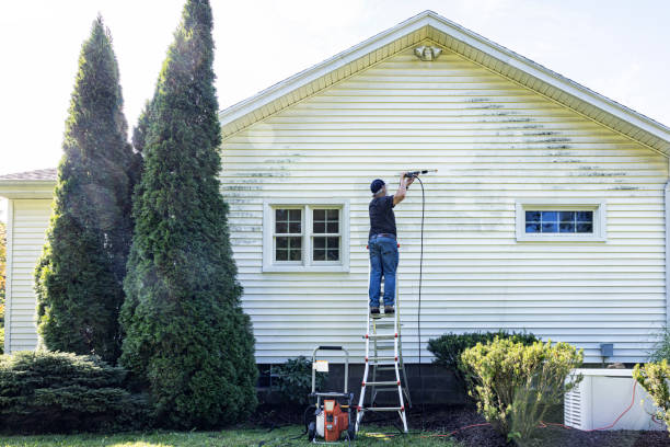 Best Local Pressure Washing Services  in Harrisonburg, VA